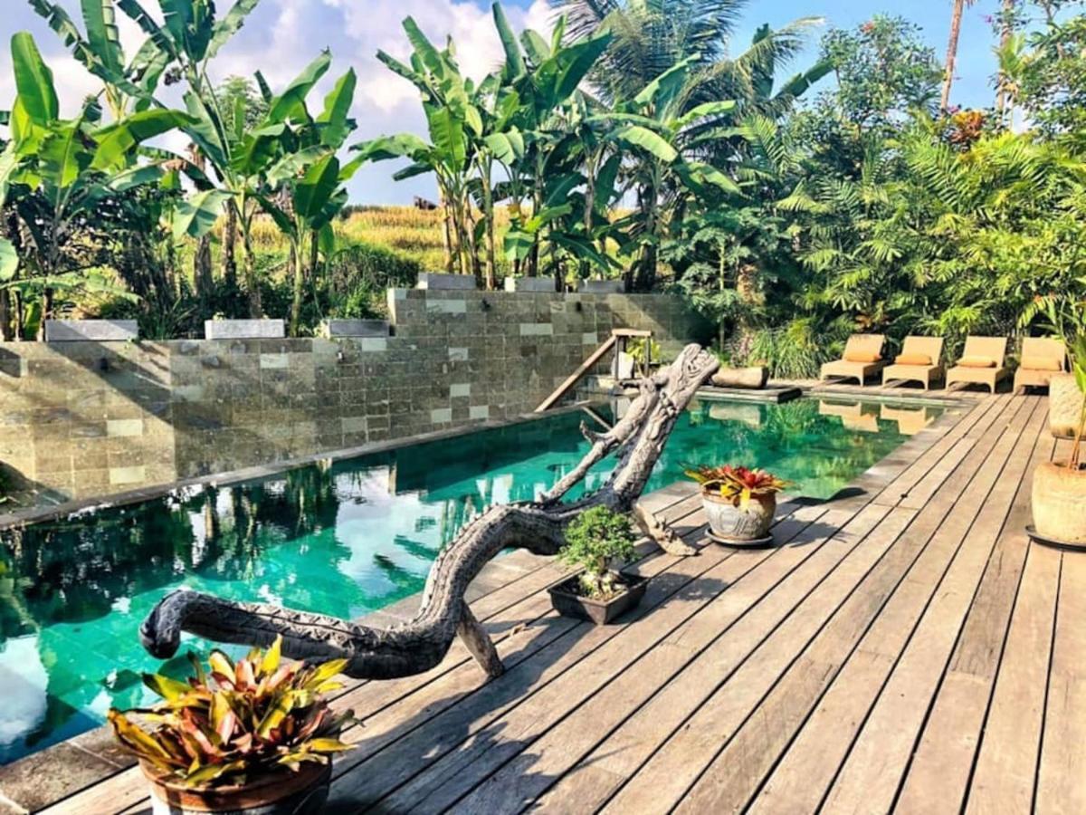 Dragon House - Your Dream House In Bali! Ubud Esterno foto